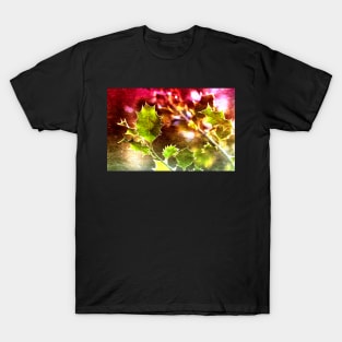 Festive Holly T-Shirt